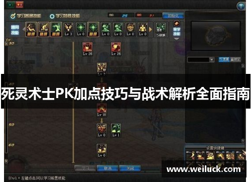 死灵术士PK加点技巧与战术解析全面指南